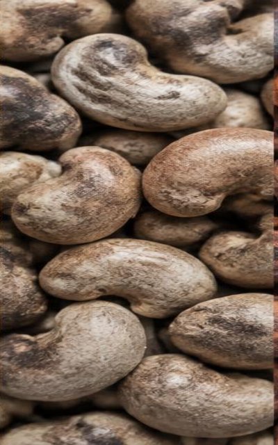 Raw Cashew Nuts