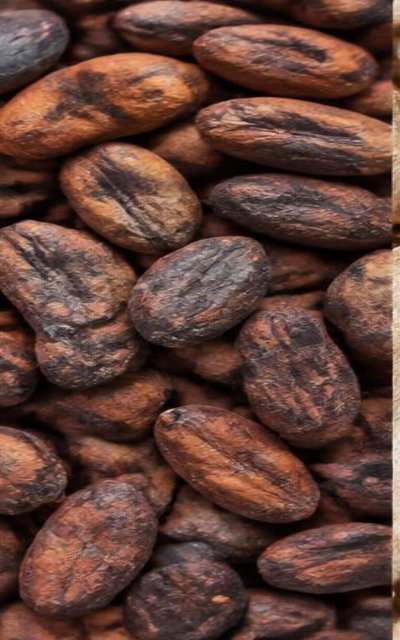 Cocoa Beans