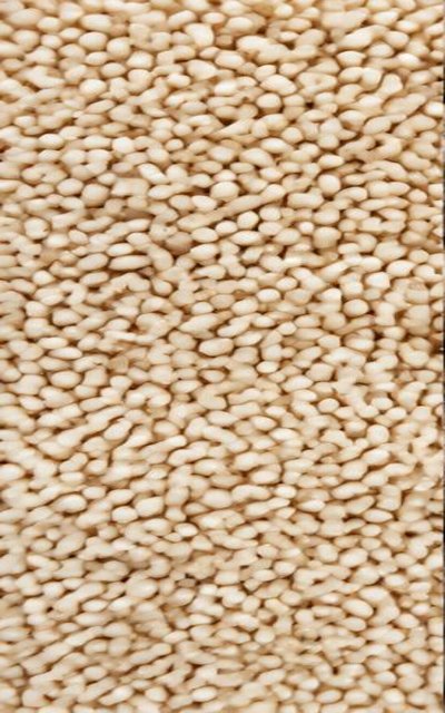Sesame Seeds