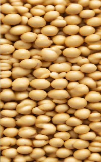 Soybeans